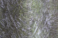 Upper Egleton fibreglass roof work